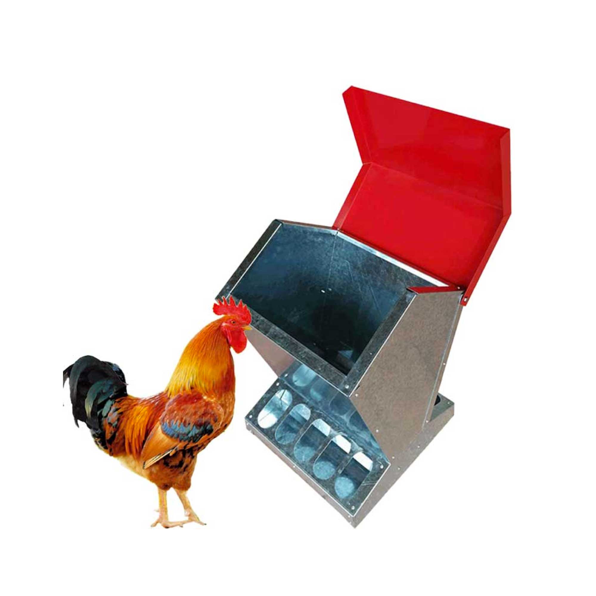 10kg Automatic Chook Chicken Feeder Poultry Auto Trough Galvanised Metal Feeders-5