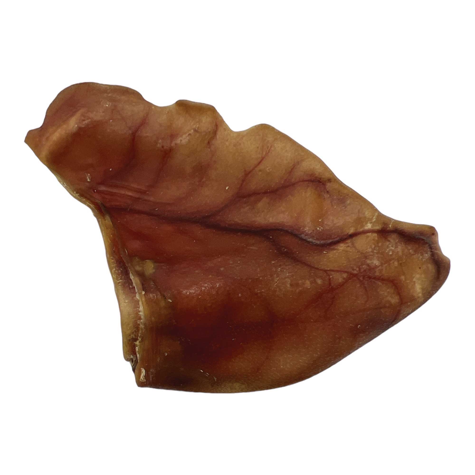 10x Dog Treat Large Pig Ears Whole - Dehydrated Australian Healthy Puppy Chew-8