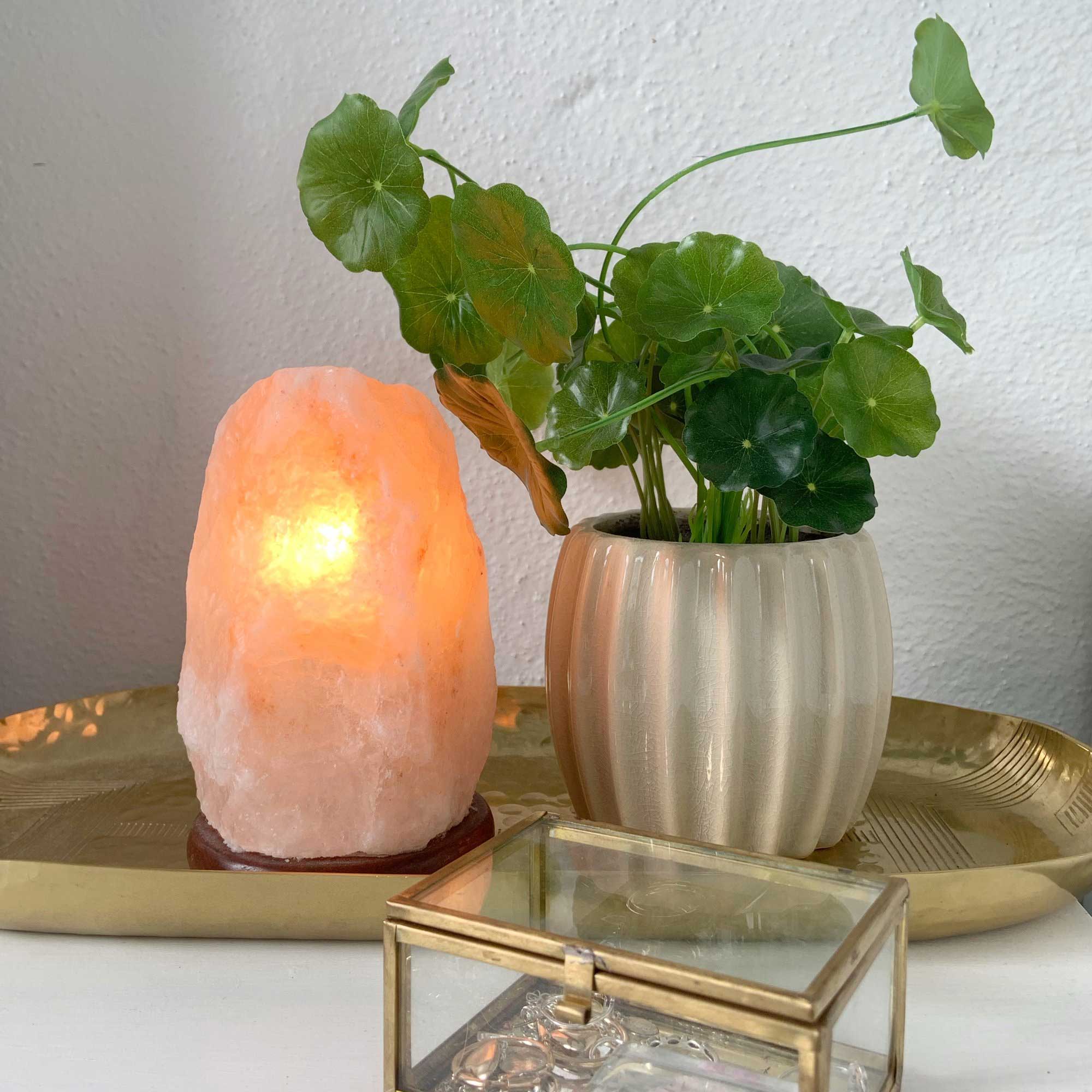 12V 12W 1-2 Kgs Himalayan Pink Salt Lamp Natural Rock Crystal Light Bulb On/Off-5