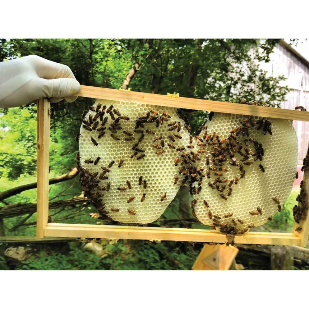 1Kg Pure Australian Beeswax Natural Blocks Unrefined - Cosmetic Grade-4