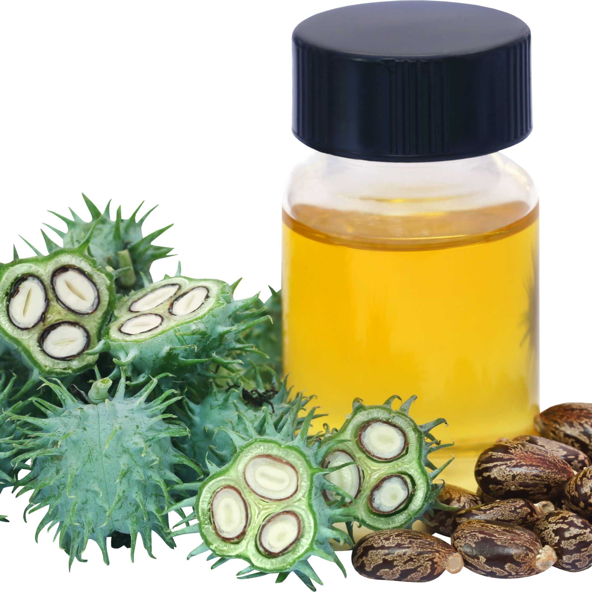 25ml Organic Castor Oil with Dropper - Hexane Free Cold Pressed Skin Hair Care-1