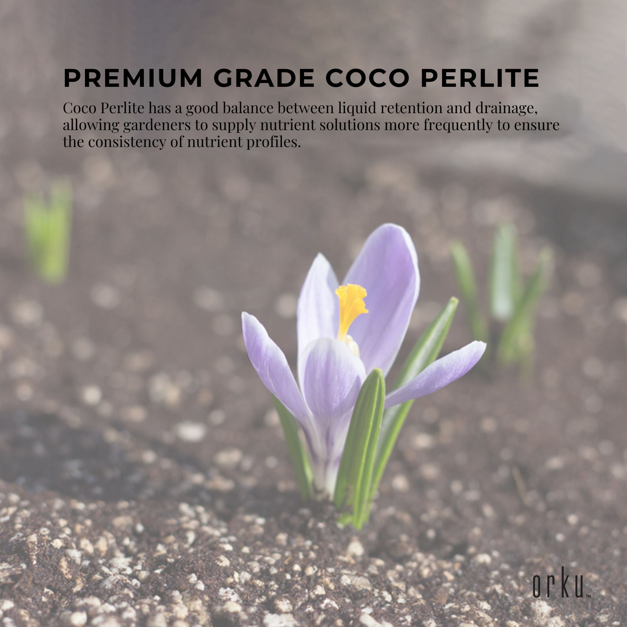 2L Premium Coco Perlite Mix - 70% Coir Husk 30% Hydroponic Plant Growing Medium-8