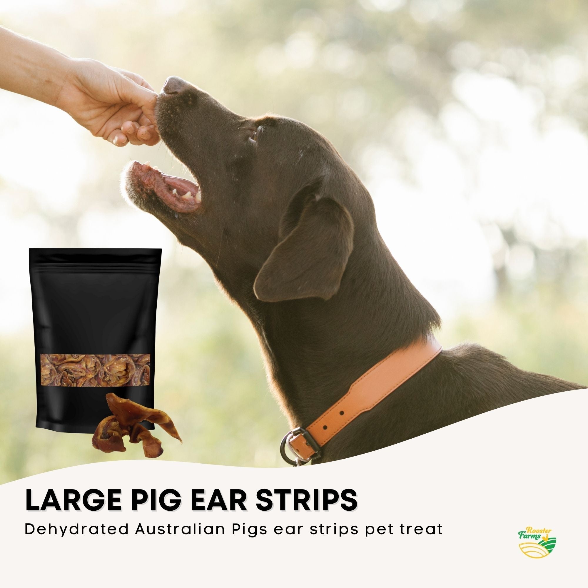 400g Dog Treat Pig Ear Strips - Dehydrated Australian Healthy Puppy Chew-2