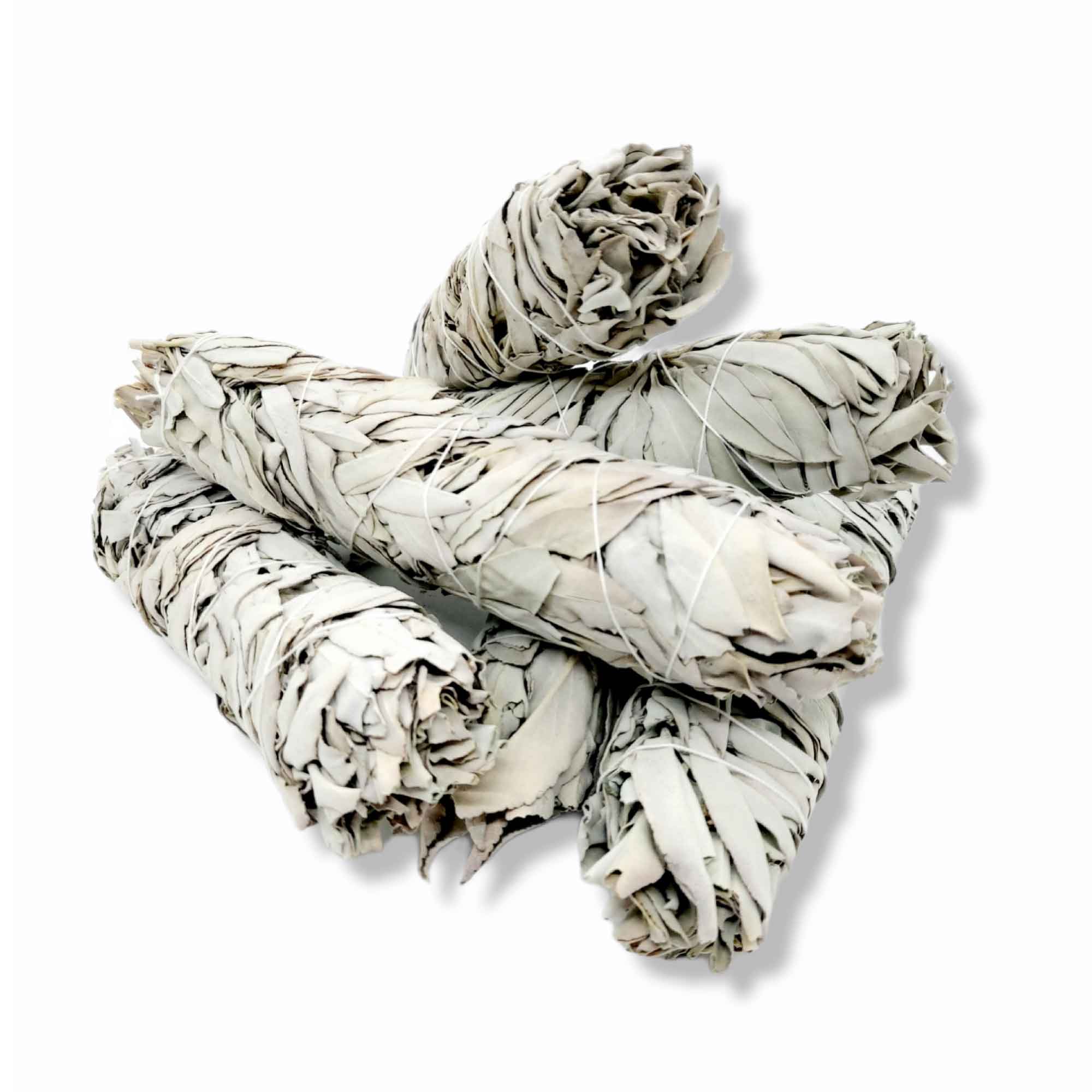 4x Californian White Sage Smudge Sticks - Jumbo 20-22cm Incense Cleansing Bundle-2