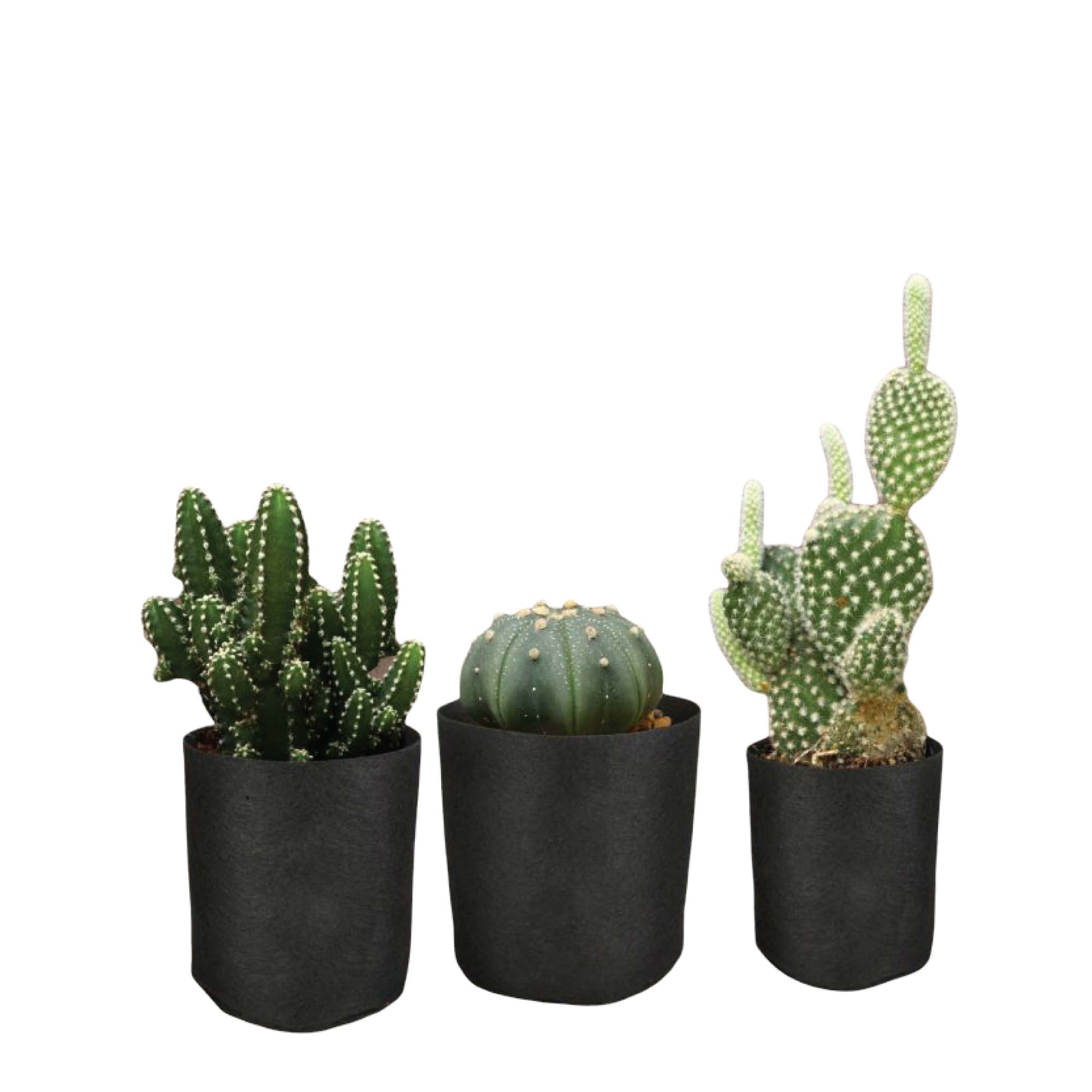 6 Pck 1 Gallon Fabric Flower Pots 3.8L Garden Planter Bags Black Felt Root Pouch-2