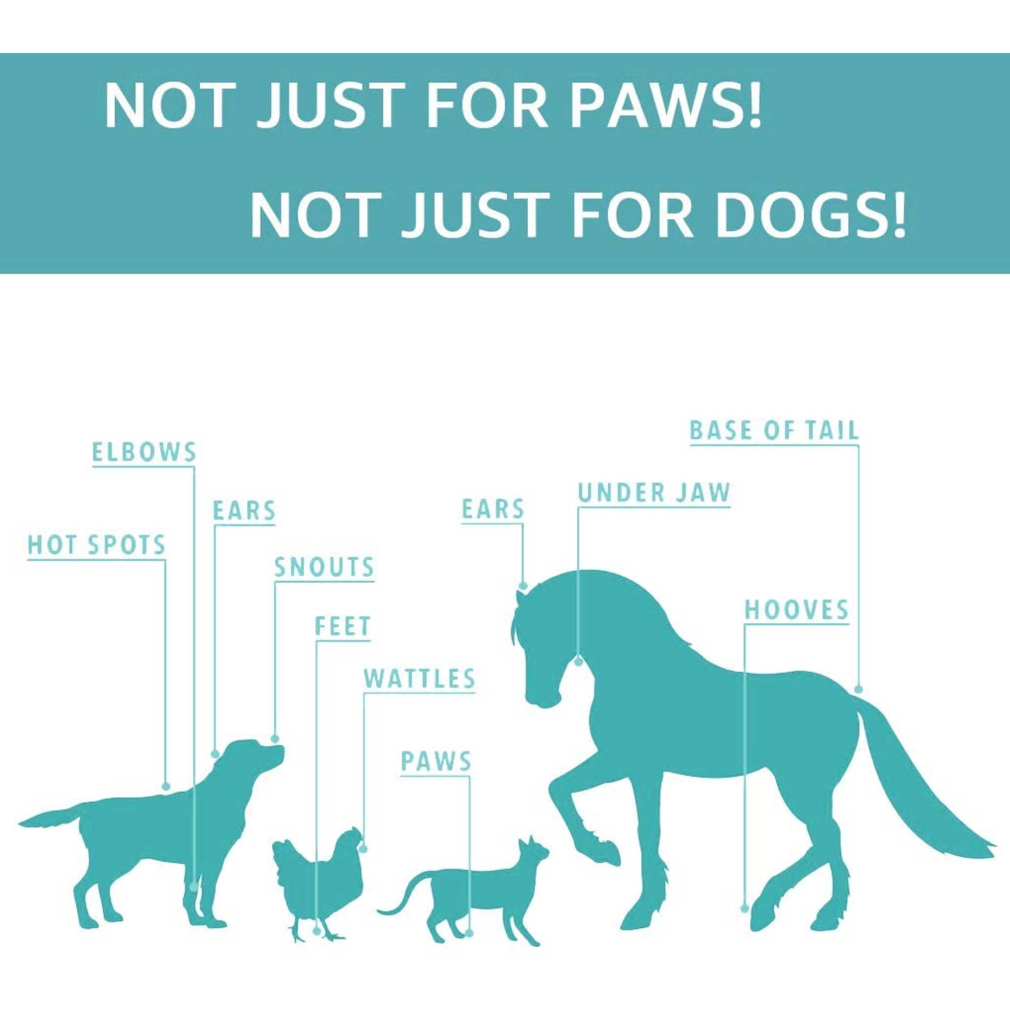 60g Pet Paw Balm - Dog or Cat Natural Organic Nose Soother Wax Ointment Cream-2
