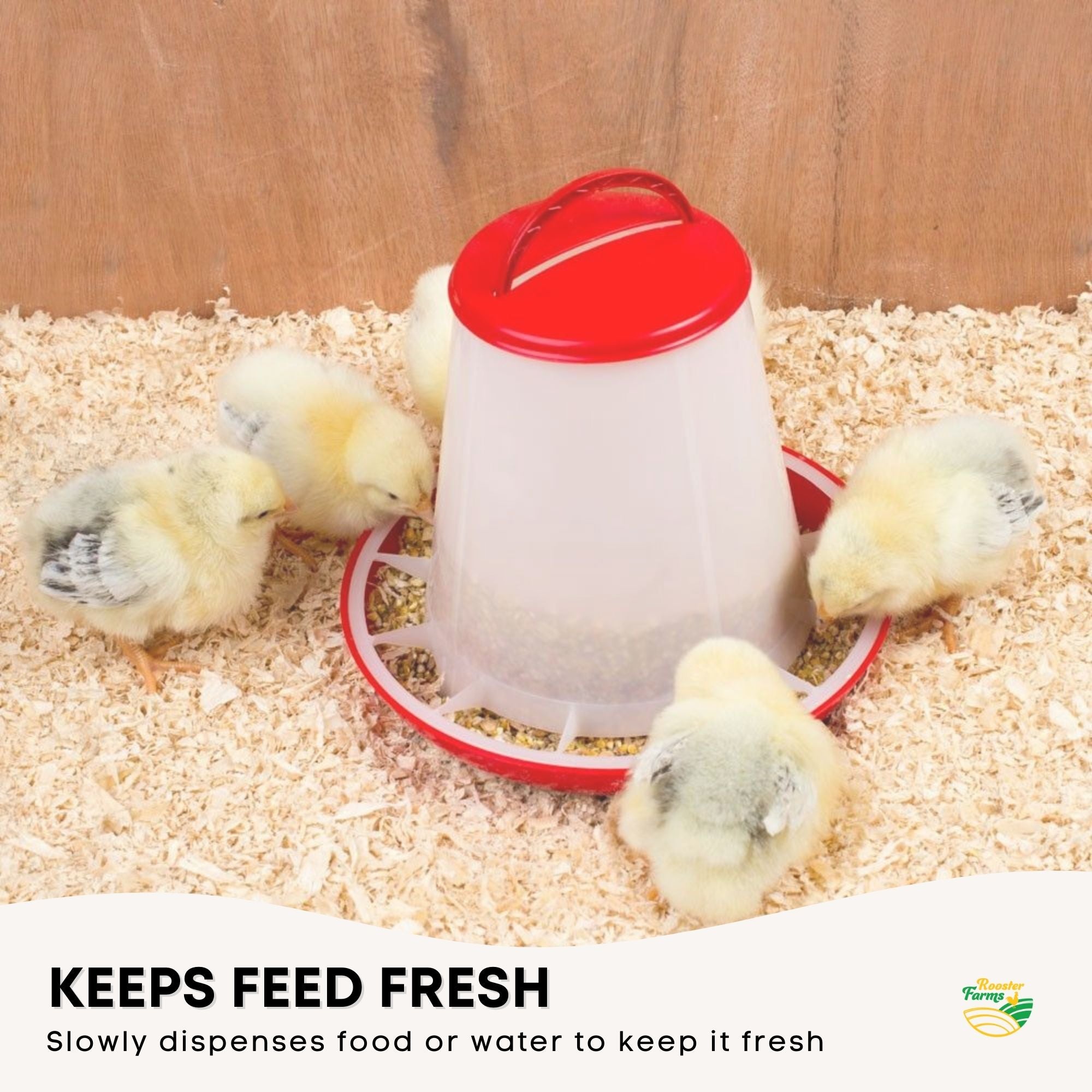 6Kg Automatic Chicken Feeder - Plastic Poultry Chook Hen Feeding Seed Bucket-6