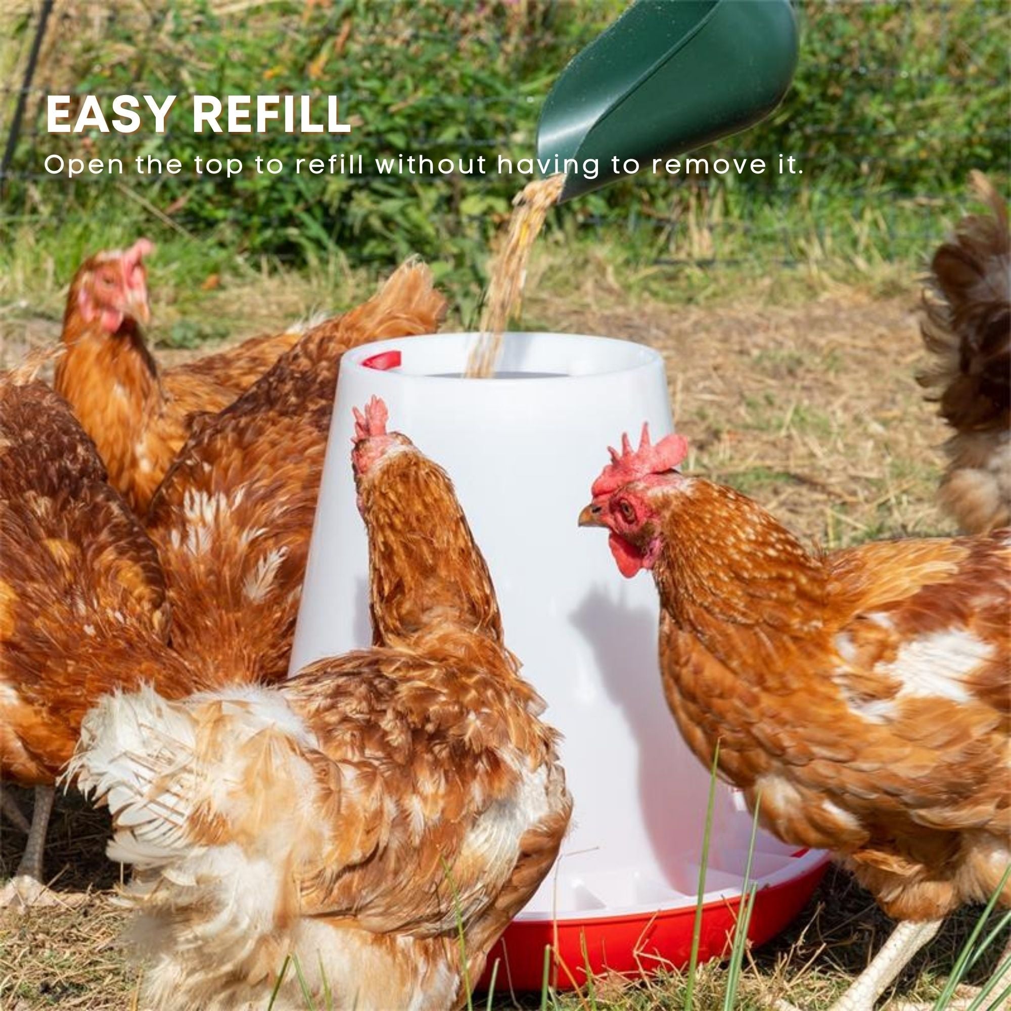 6Kg Automatic Chicken Feeder - Plastic Poultry Chook Hen Feeding Seed Bucket-7