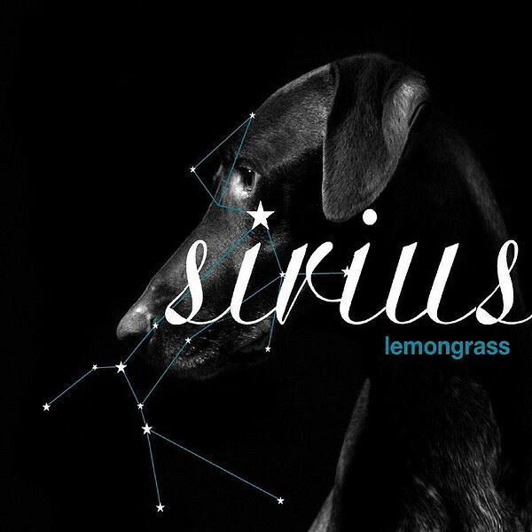 CD: Sirius-0