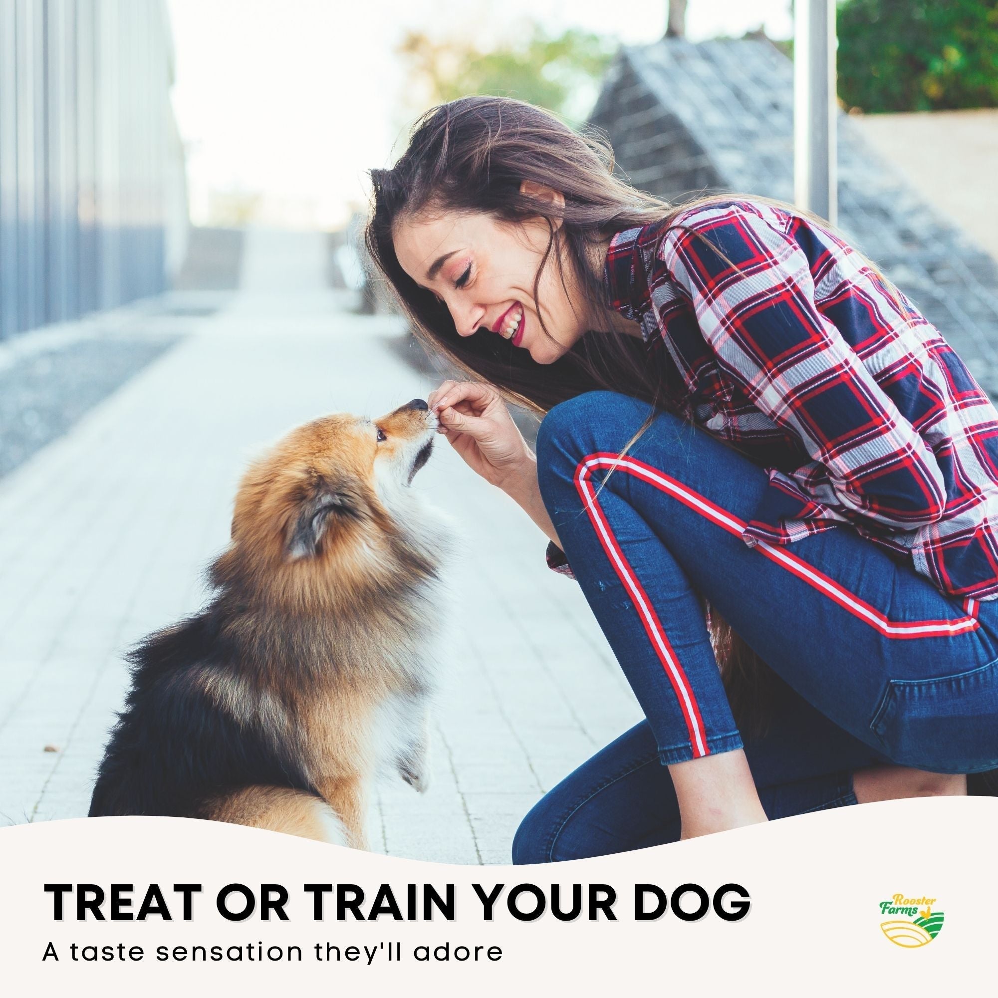 Dog Treat Chicken Breast Jerky - Dehydrated Australian Healthy Puppy Chew-12