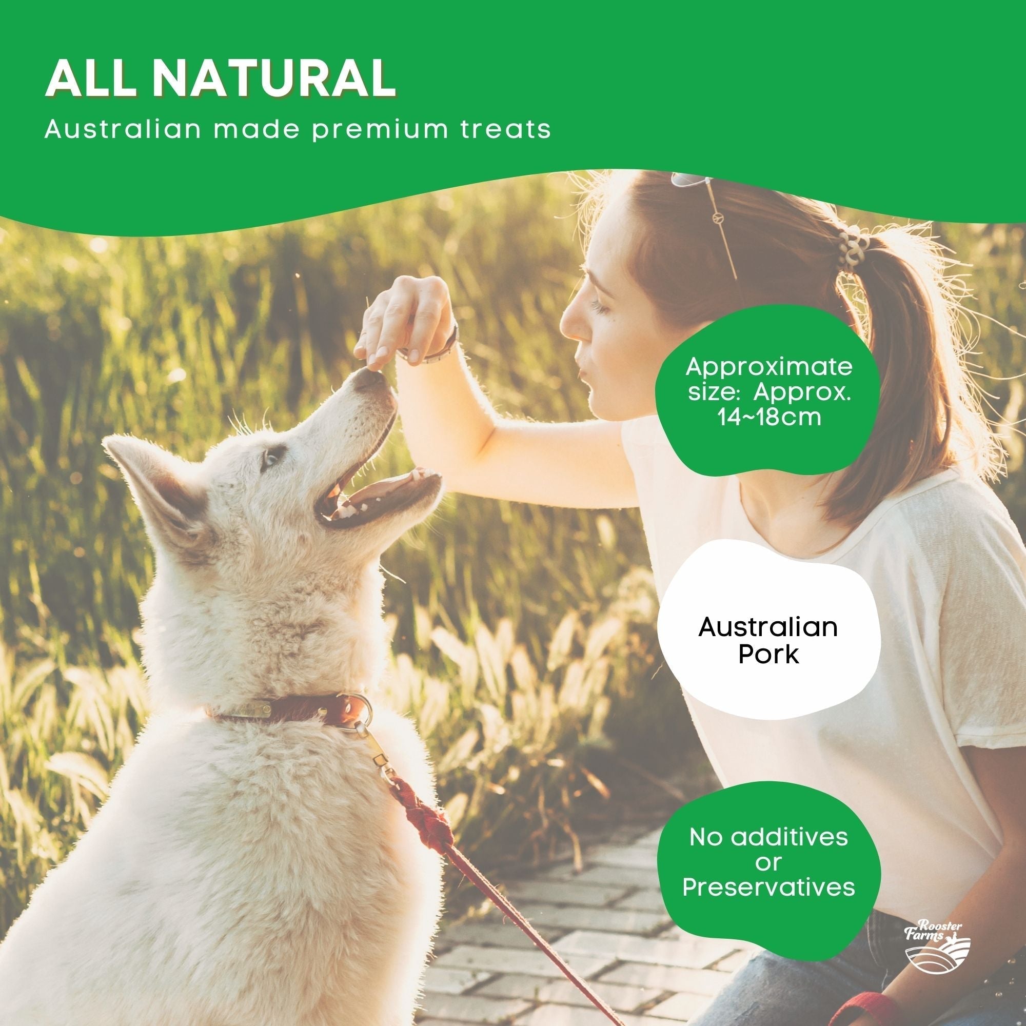 Dog Treat Large Pig Ears Whole - Dehydrated Australian Healthy Puppy Chew-6