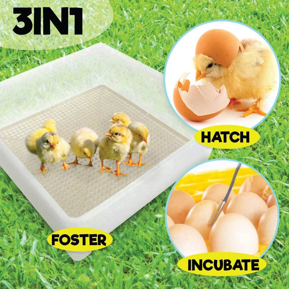 Electric 112 Egg Incubator + Accessories Hatching Eggs Chicken Quail Duck-8