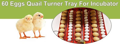 Electric 60 Egg Incubator + Accessories Hatching Eggs Chicken Quail Duck-5