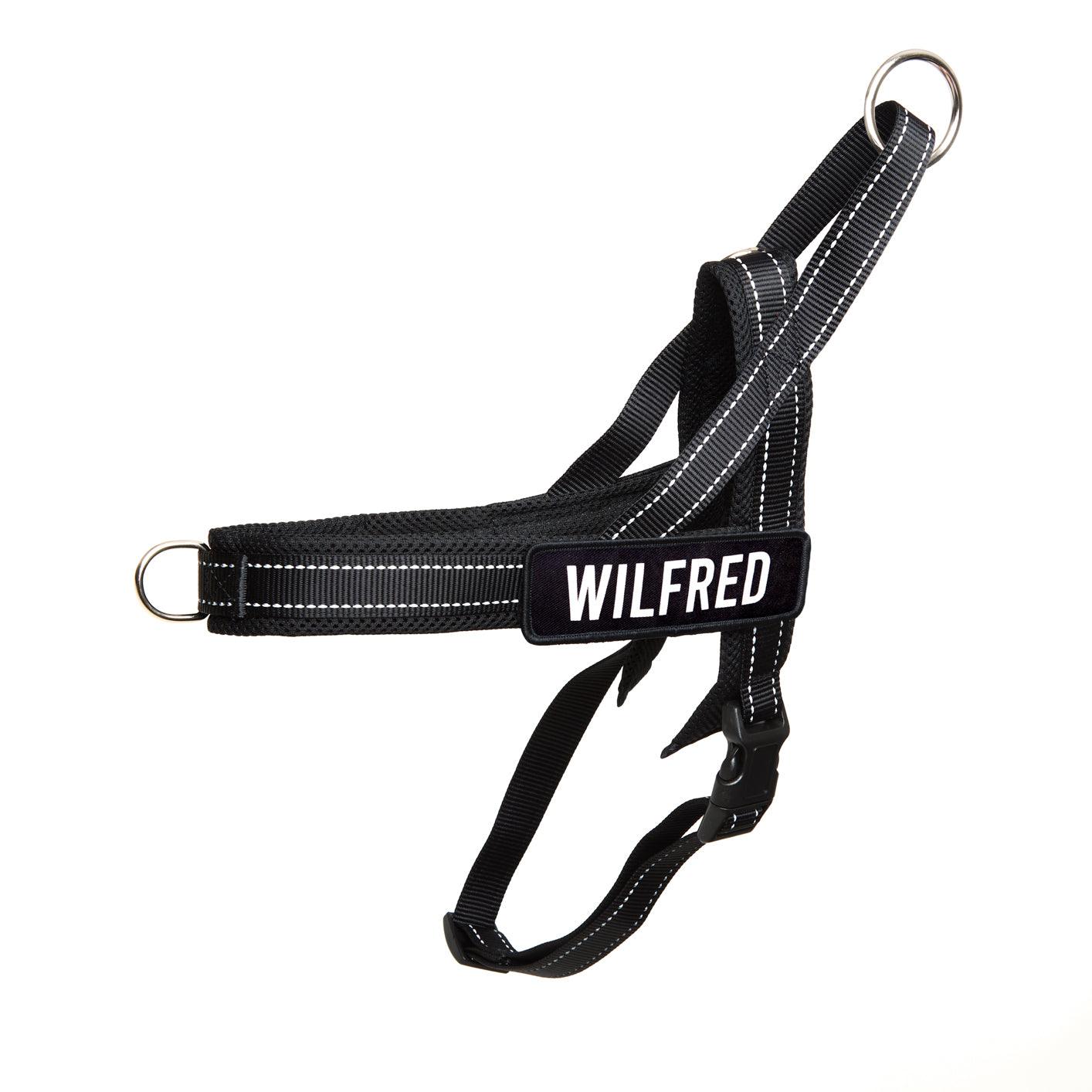 Fur King Signature Quick Fit Harness-3