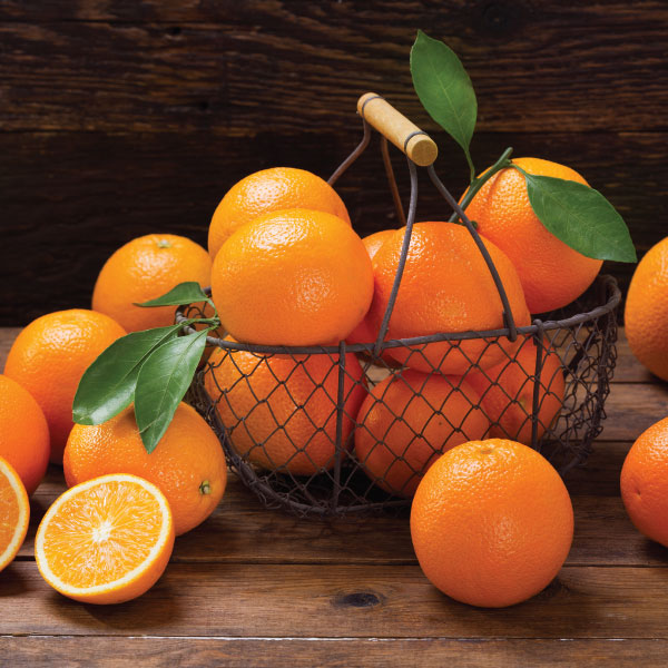 Hamptons Deluxe Large Candle - Exotic Oasis - Persian Orange and Cassis-2