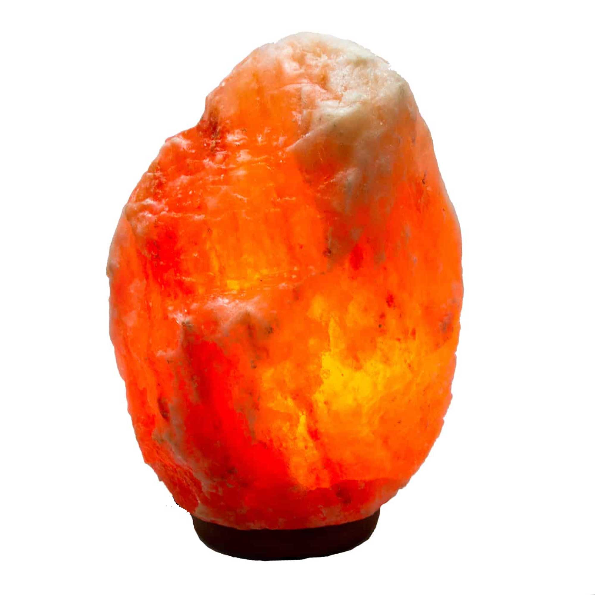 Himalayan Pink Salt Lamp + 12W 12V Switch - Carved Shape Natural Crystal Rock-26