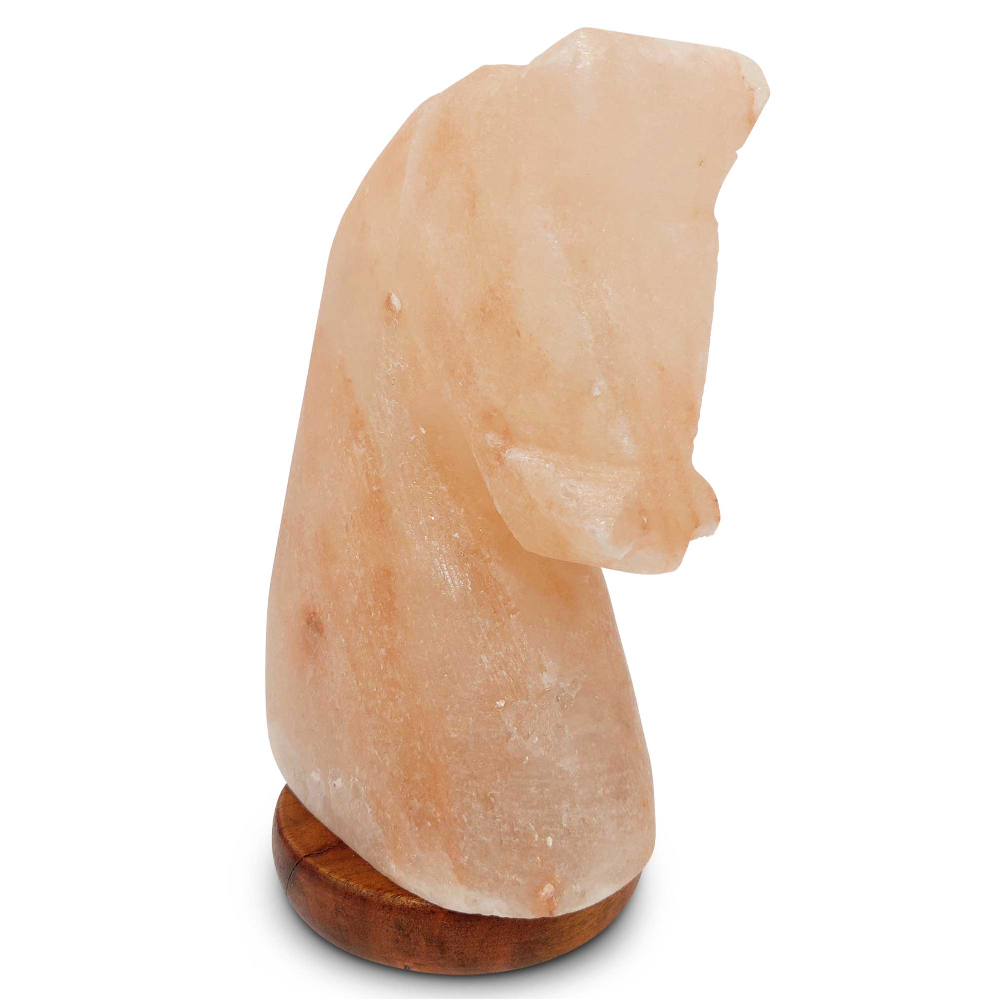 Himalayan Pink Salt Lamp + 12W 12V Switch - Carved Shape Natural Crystal Rock-4