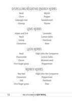Little Book Of Rootwork-4
