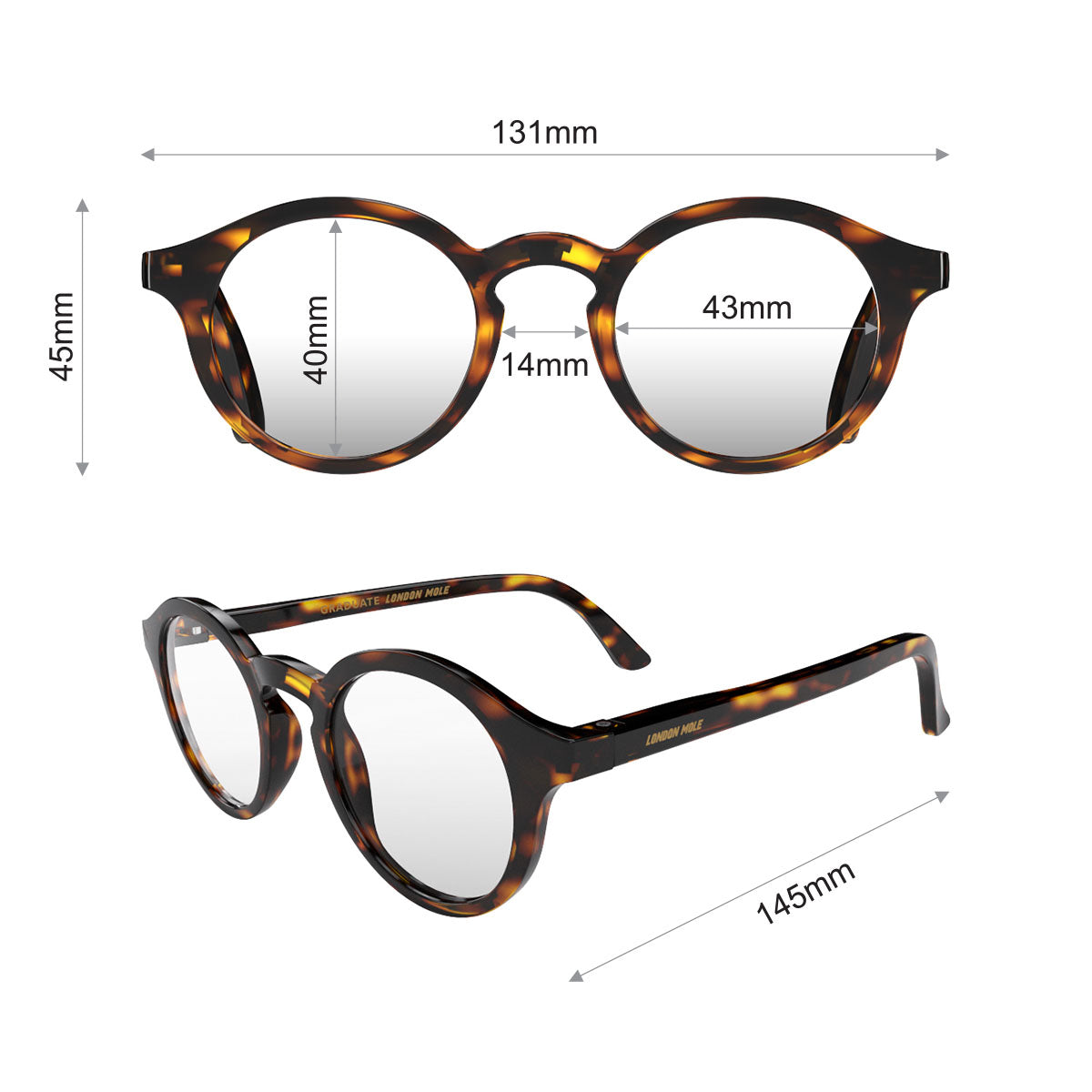London Mole Graduate Blue Blocker Glasses Gloss Tortoise Shell-3