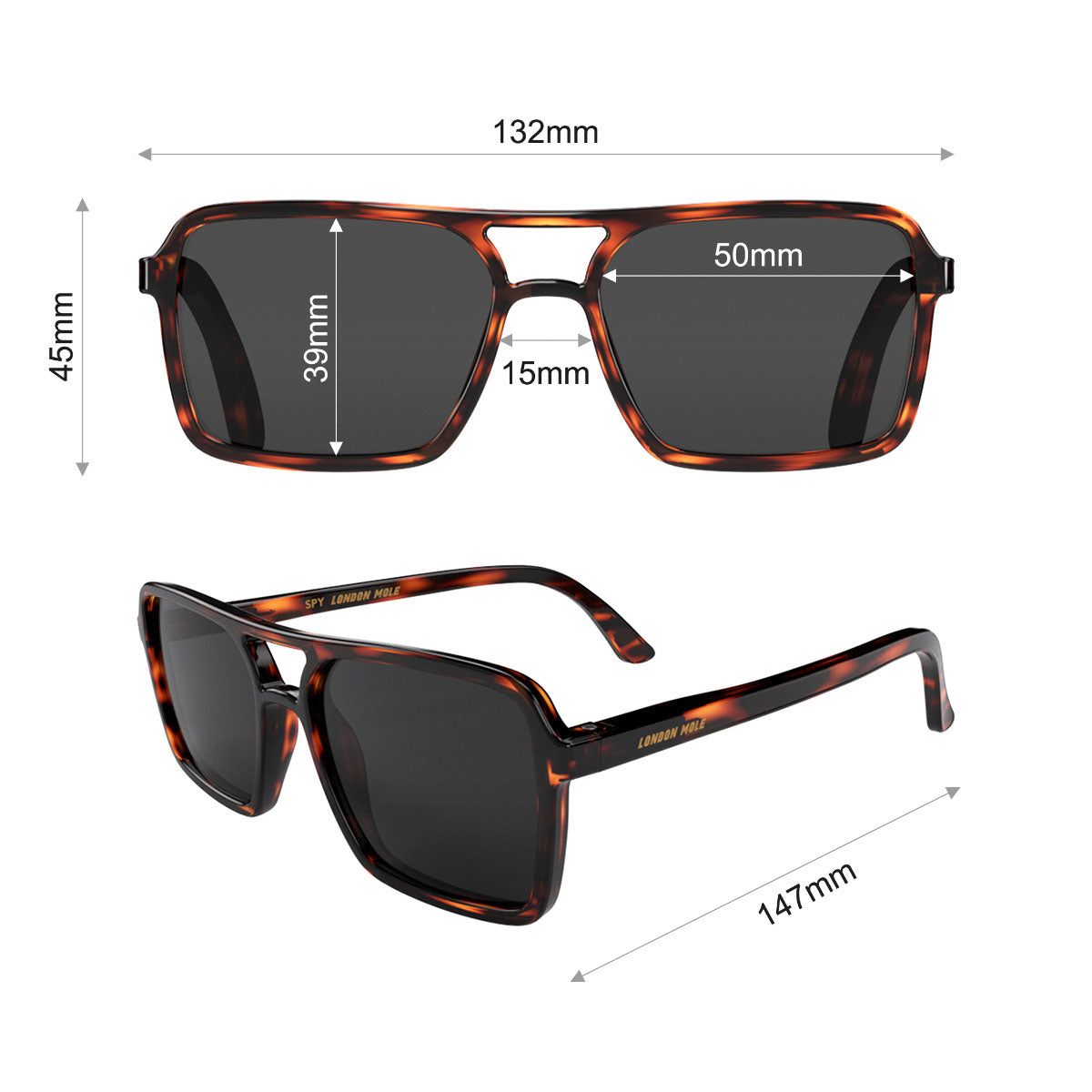 London Mole Spy Sunglasses Gloss Tortoise Shell / Black-4