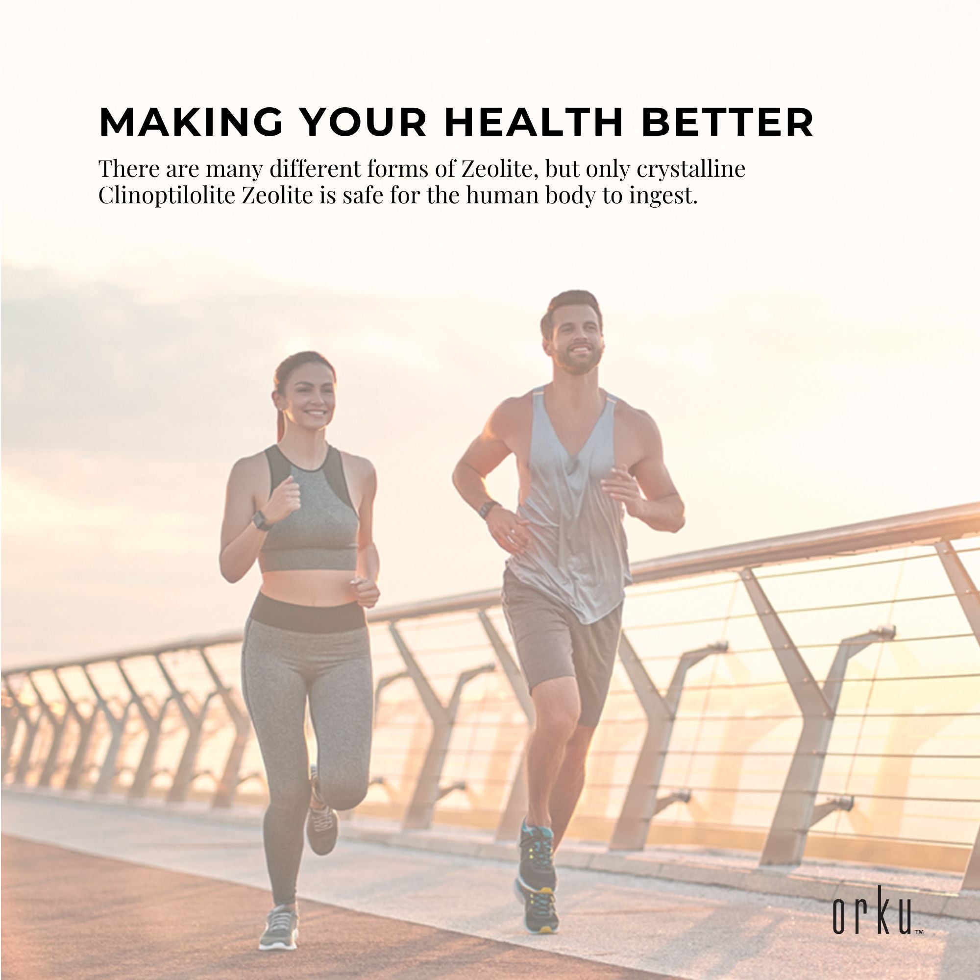 Pure Micronised Zeolite Powder Supplement In Bags Micronized Volcamin Bulk-9