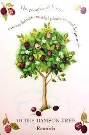 Tree Magick Oracle Deck, The: Includes 52 Cards and a 64-Page Illustrated Book-6