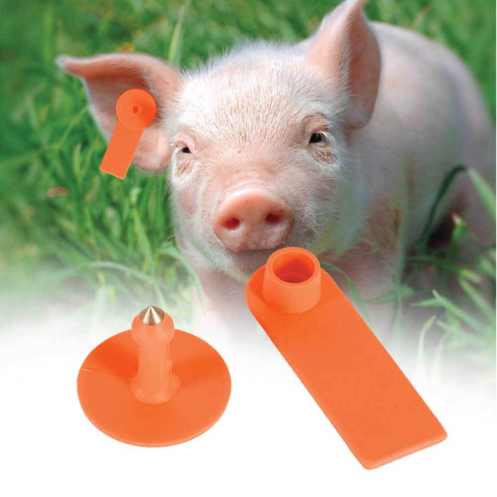 100x Cattle Ear Tags 5x2cm Set - Mini Orange Blank Pig Goat Livestock Label-1