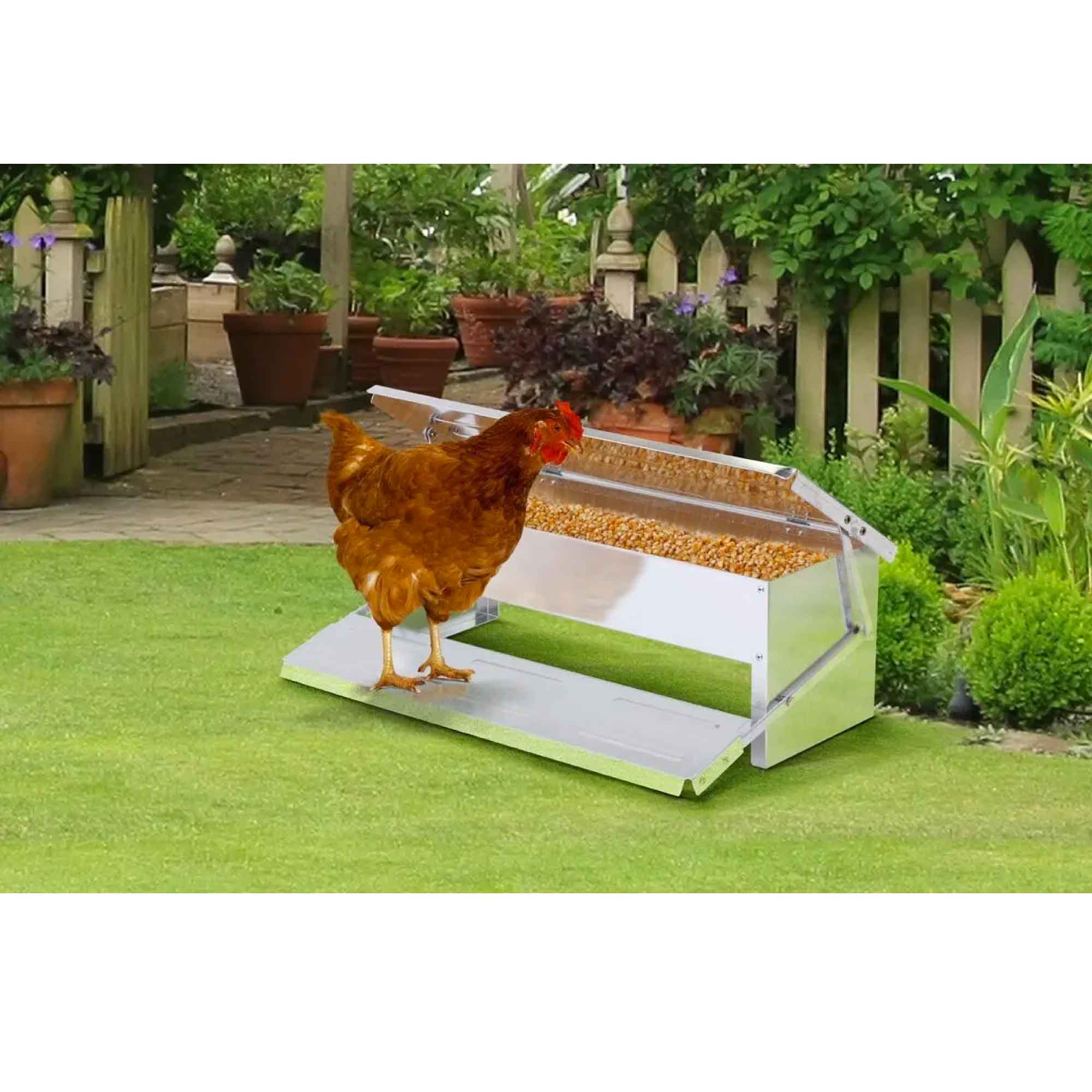 11L Automatic Chook Chicken Feeder Poultry Auto Treadle Aluminium Metal Feeders-2