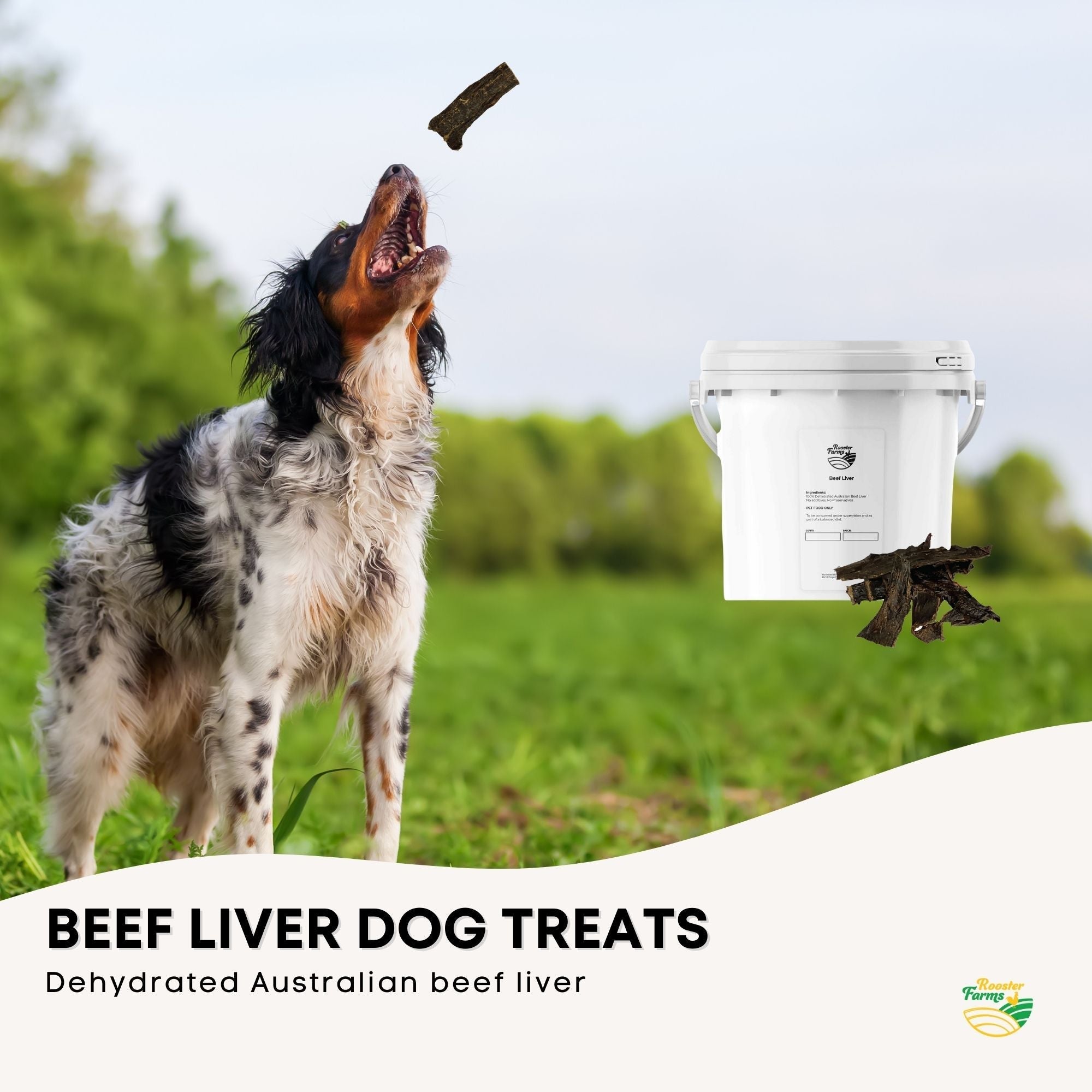 1Kg Dog Treat Beef Liver Pieces Bucket - Dehydrated Australian Healthy Puppy Chew-1