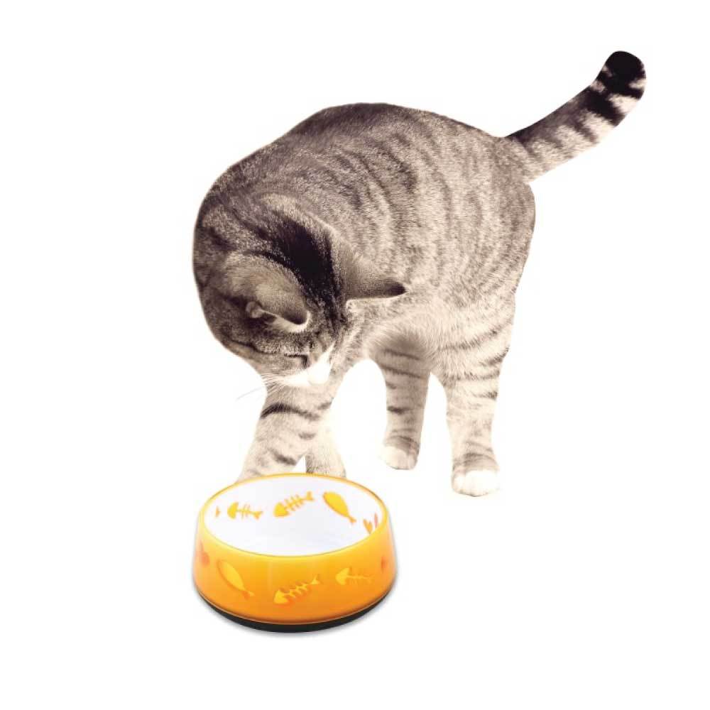 300ml Cat Bowl Orange Love - AFP Kitten Pet Food Water Feeding Anti Slip Dish-1