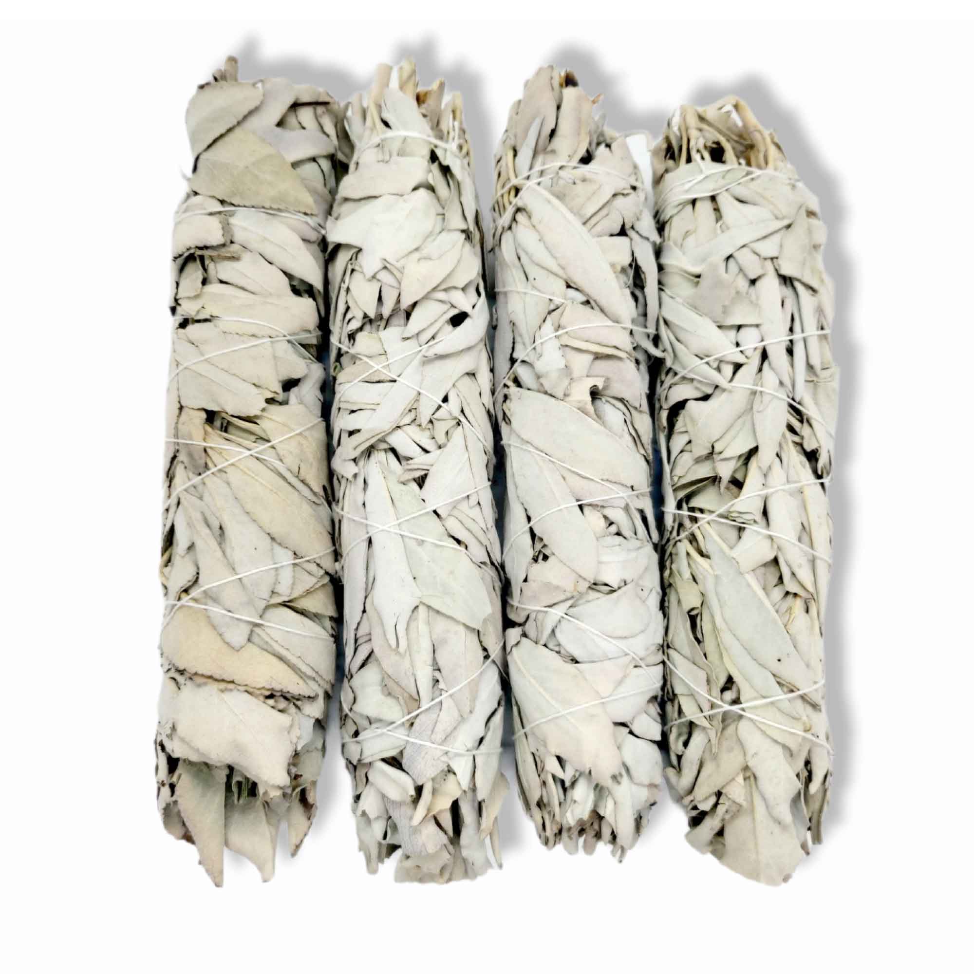 4x Californian White Sage Smudge Sticks - Jumbo 20-22cm Incense Cleansing Bundle-0
