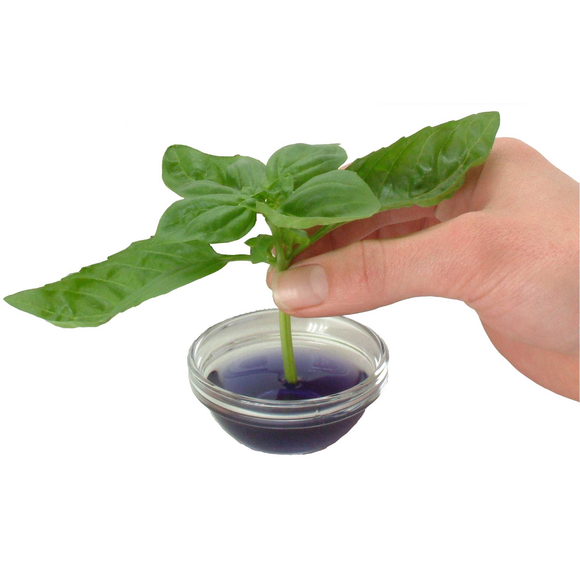 50ml Clonex Rooting Hormone Purple Gel Propagation Clone Plant Growth Technology-2