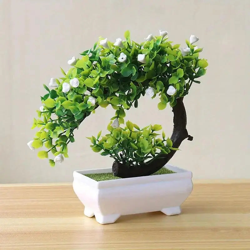 Small Bonsai Tree