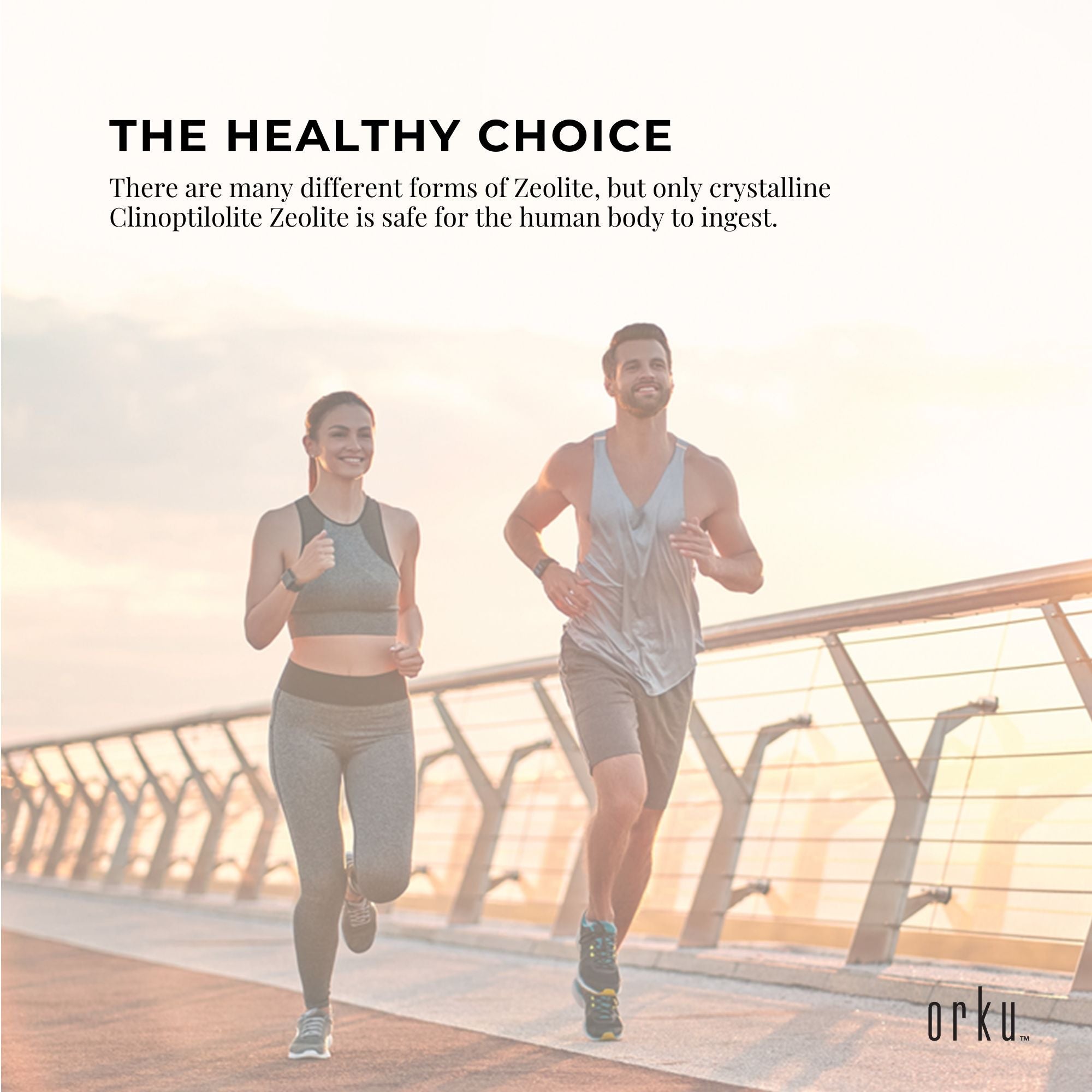 800g Pure Micronised Zeolite Powder Supplement Tub Micronized Volcamin-5