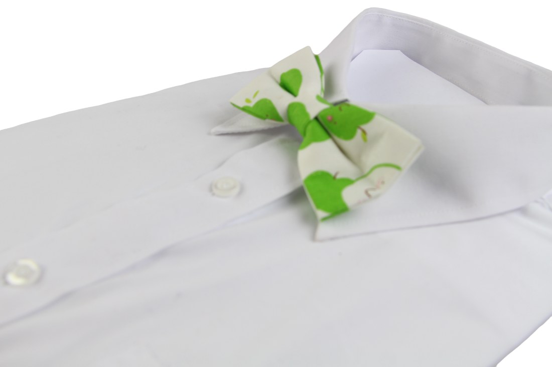 Boys Green Apple Fruit Patterned Bow Tie-0