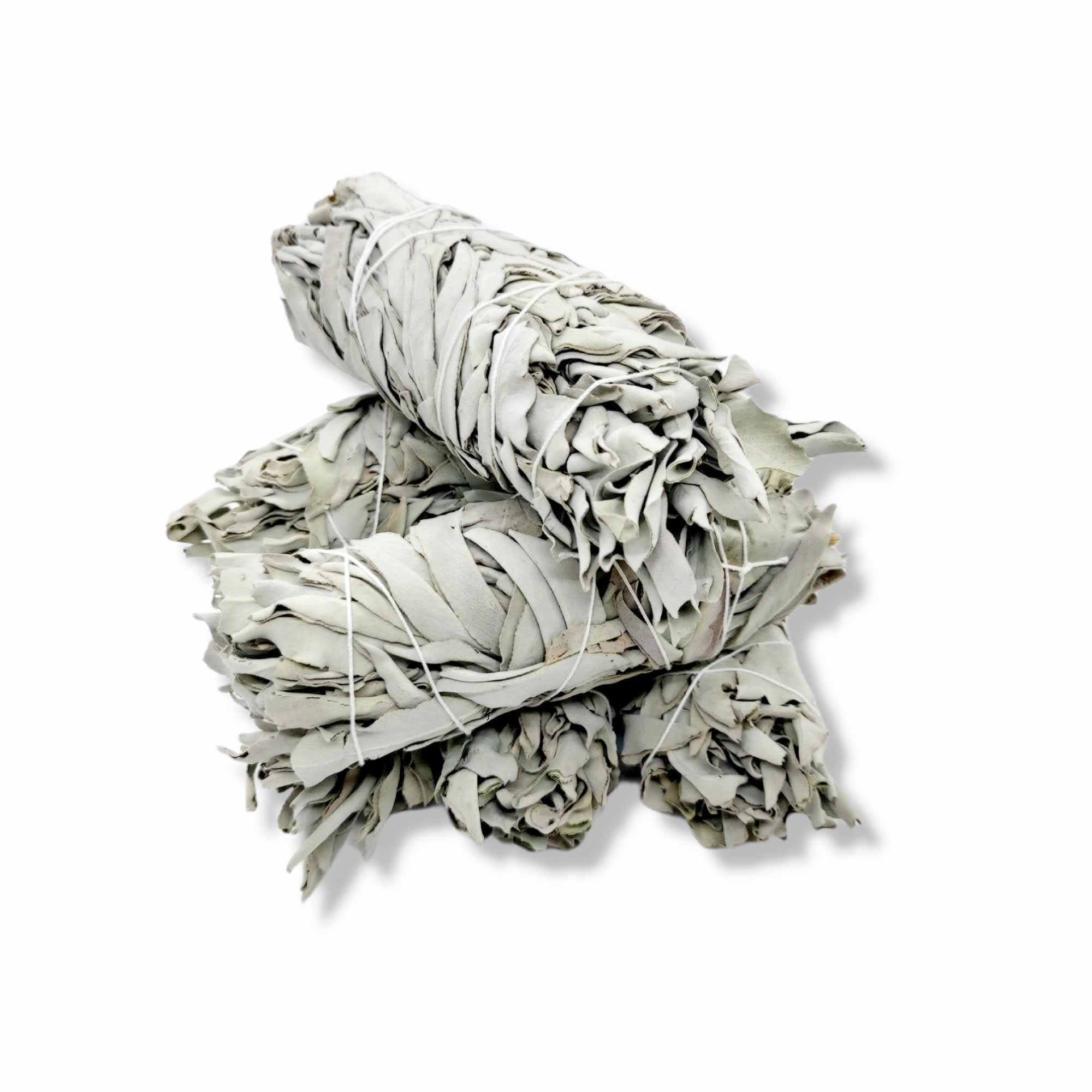 Bulk Californian White Sage Smudge Stick Medium 13-15cm Incense Cleansing Bundle-0
