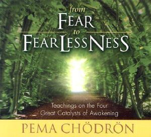 CD: From Fear to Fearlessness (2 CD)-0