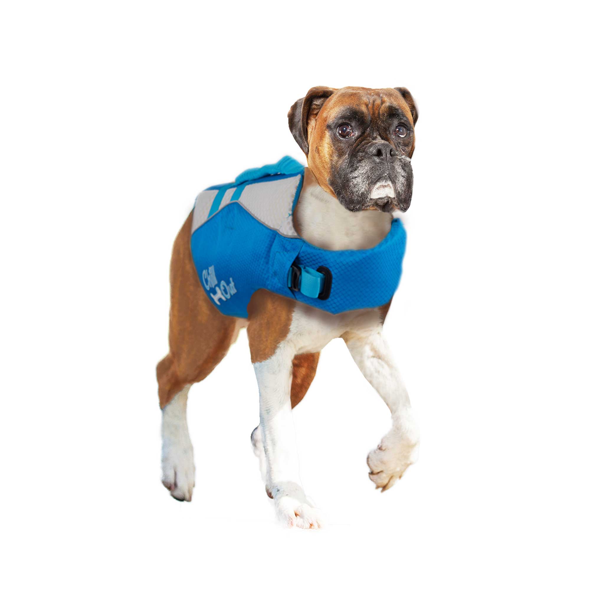 Dog Life Jacket - Puppy Swim Float Adjustable Safety Vest - All For Paws-8