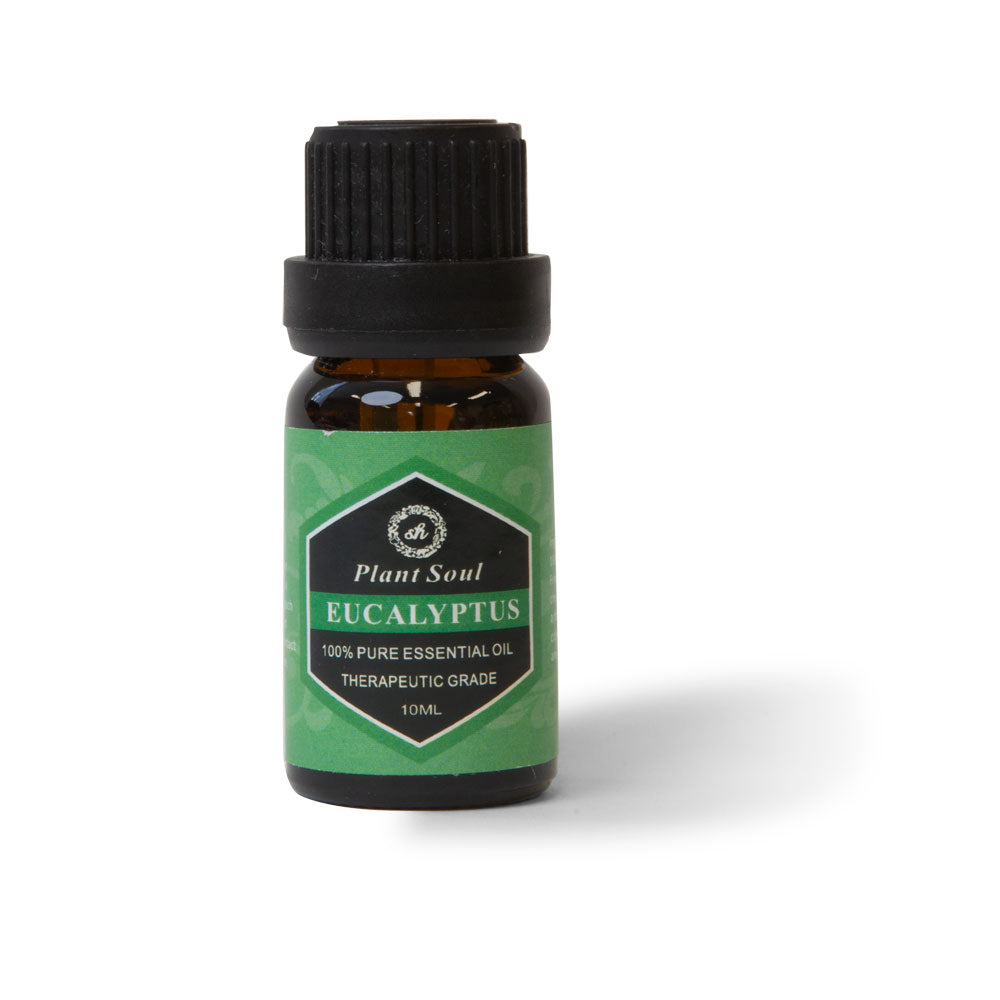 Eucalyptus Essential Oil 10ml  Bottle - Aromatherapy-0