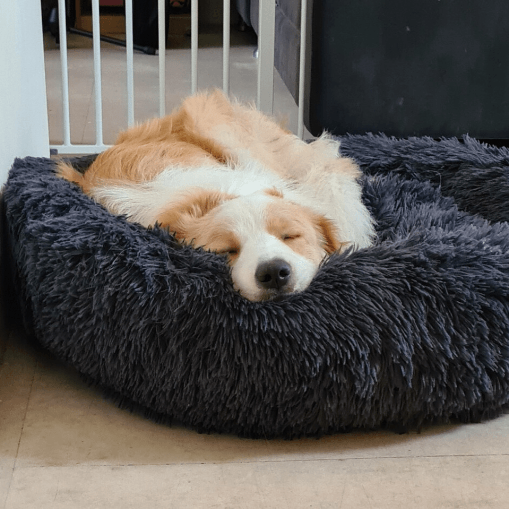 Fur King "Aussie" Calming Dog Bed-10