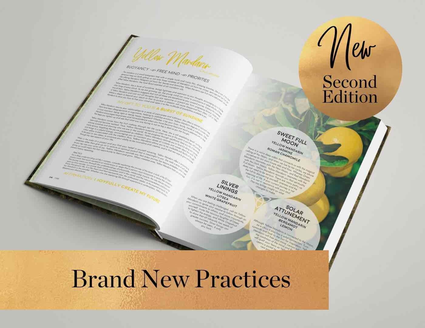 Gifts Of The Essential Oils (Hardcover)-1