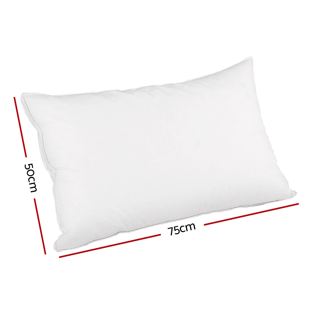 Giselle Bedding Duck Feather Down Twin Pack Pillow-1