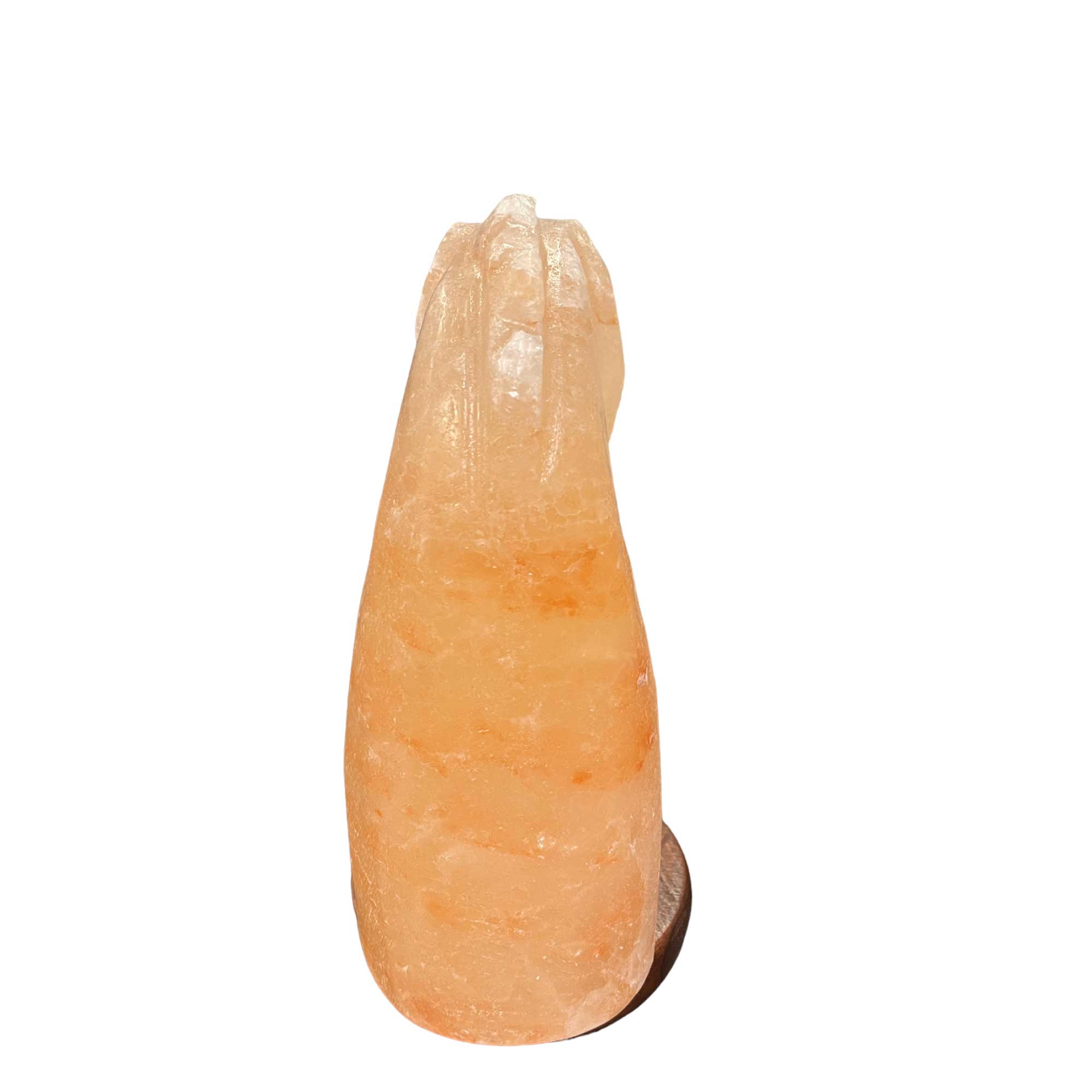Himalayan Pink Salt Lamp - 12V 12W Knight Horse Shape Carved Crystal Rock-3