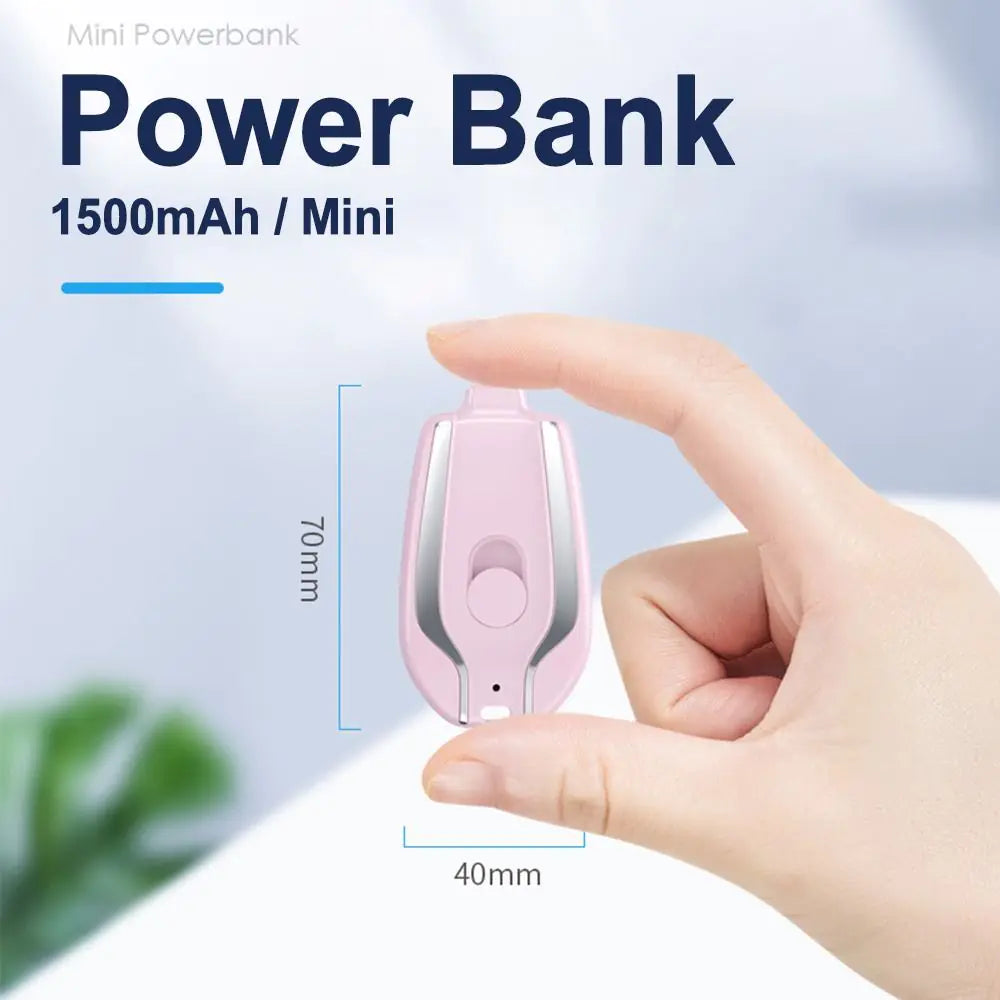 Mini Emergency Power Bank!