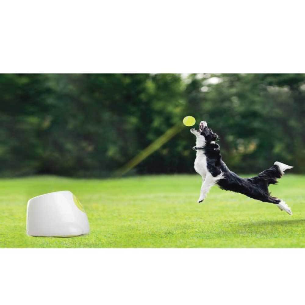 Hyper Fetch Maxi Dog Ball Thrower - Large Interactive Pet Toy Launcher-8