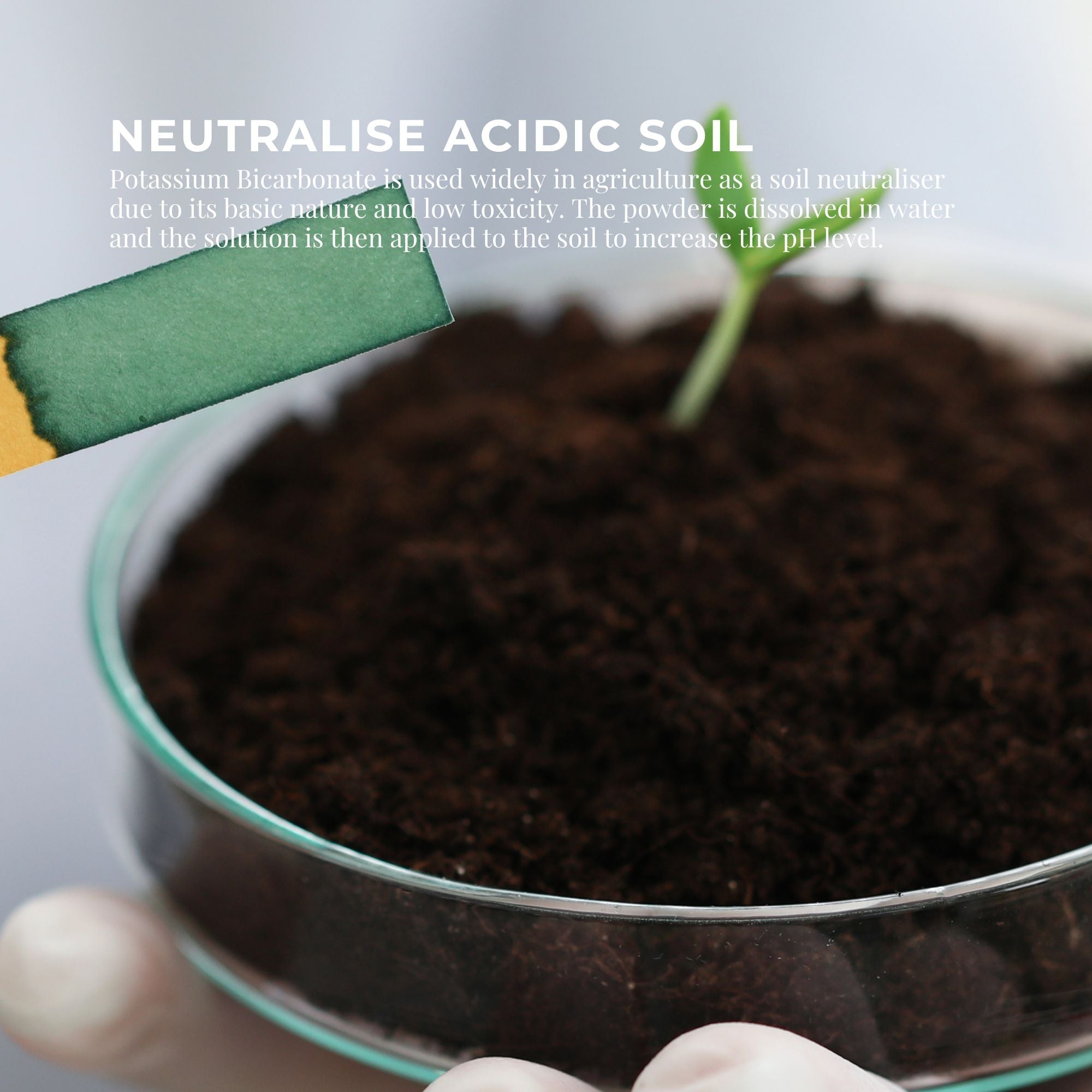 Organic Potassium Bicarbonate Powder - Food Grade FCC for Brewing Baking Bulk-11
