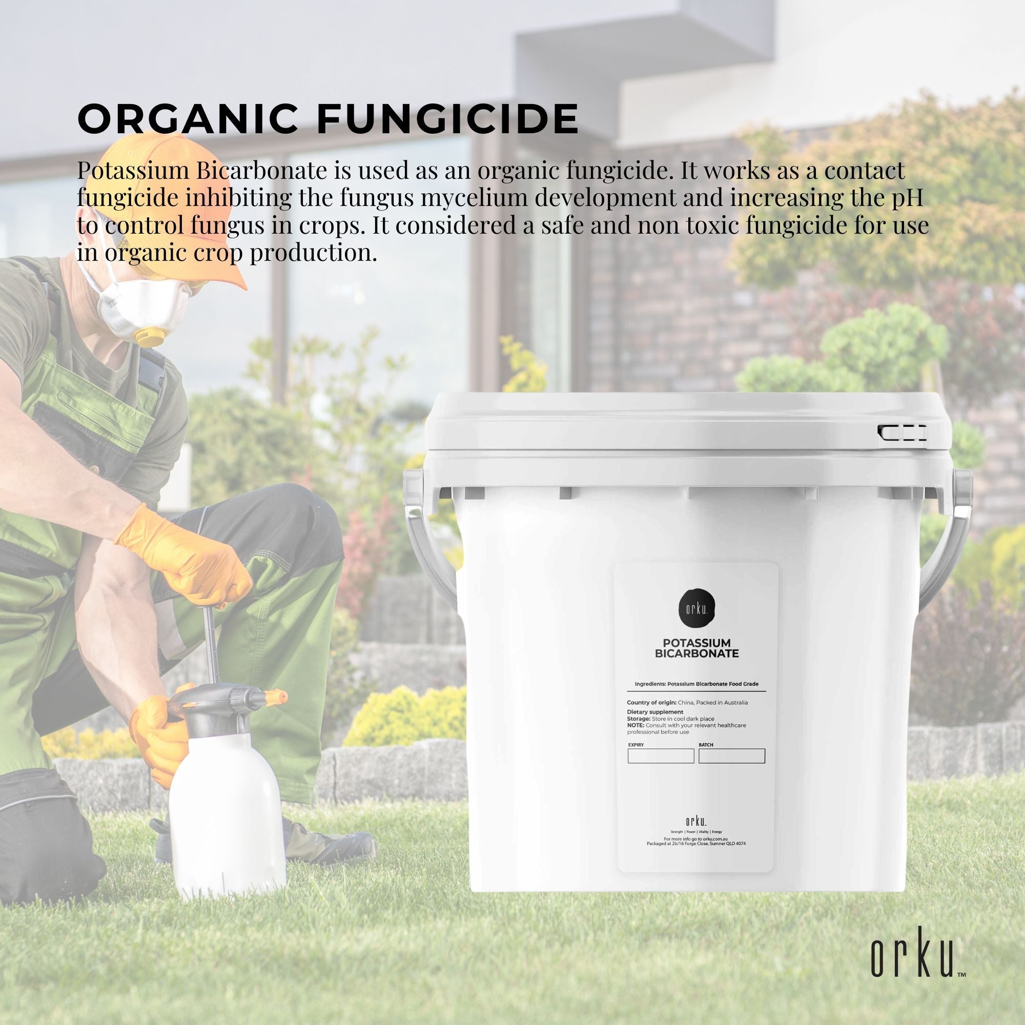 Organic Potassium Bicarbonate Powder Tubs - Food Grade FCC for Brewing Baking-4
