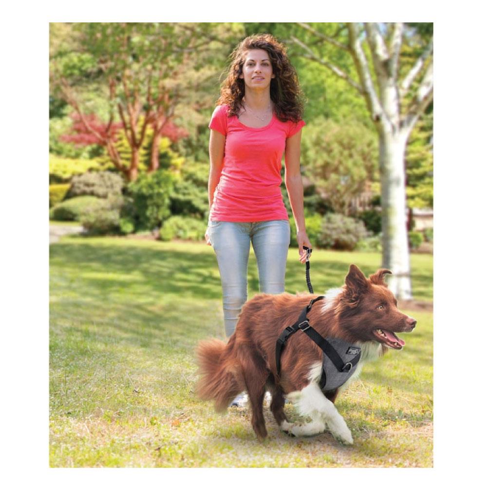 S Dog Harness 2 in 1 Combo - Car Travel Rides + Walks - No Pull Leash Seat Belt-3