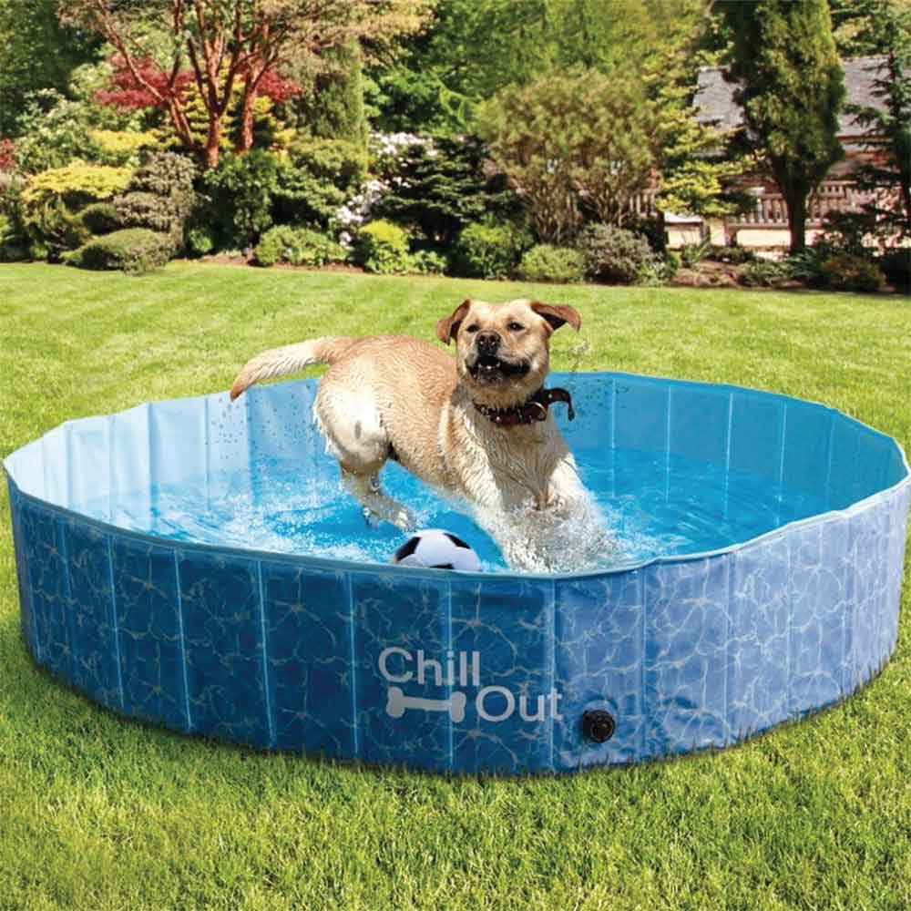 S Dog Swimming Pool - Chill Out Plastic Pet Puppy Bath Splash Fun All For Paws-4