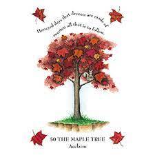 Tree Magick Oracle Deck, The: Includes 52 Cards and a 64-Page Illustrated Book-7